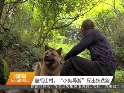 壶瓶山村：“小狗导游”探出扶贫路