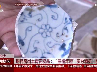 铜官窑出土青花瓷品：“宣德年造”实为清初“赝品”