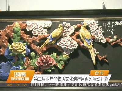 第三届两岸非物质文化遗产月系列活动开幕