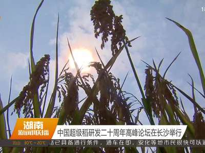 中国超级稻研发二十周年高峰论坛在长沙举行