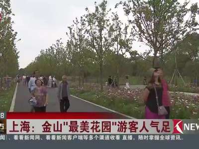 [视频]上海：粉红色田野亮相金山