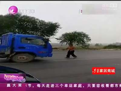 [视频]男子国道上“人肉拦车”索1元钱 不给就趴车头不走