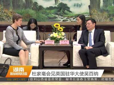 杜家毫会见英国驻华大使吴百纳