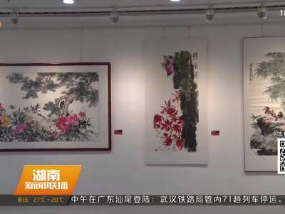 娄底：艺博会让市民共享文化大餐