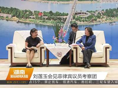 刘莲玉会见菲律宾议员考察团