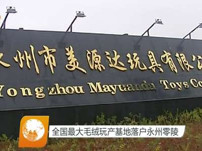 全国最大毛绒玩产基地落户永州零陵