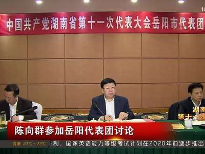 陈向群参加岳阳代表团讨论