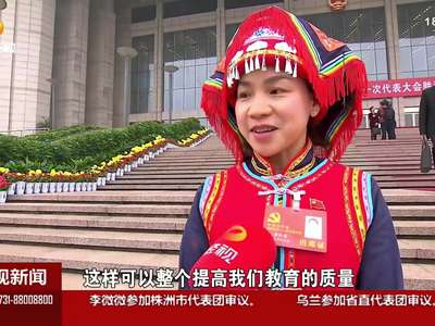 党代表心声：宏伟蓝图 催人奋进