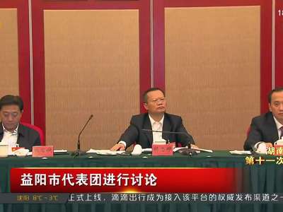 益阳市代表团进行讨论