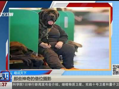 [视频]那些神奇的借位摄影