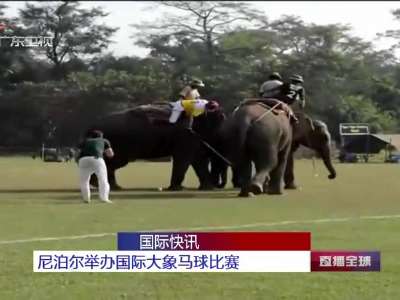 [视频]尼泊尔举办国际大象马球比赛