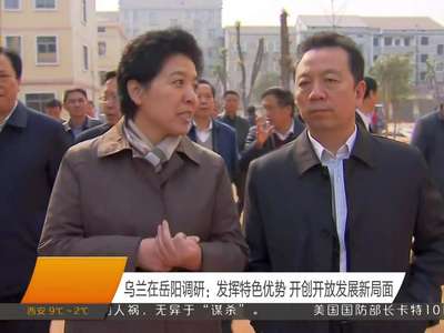 乌兰在岳阳调研：发挥特色优势 开创开放发展新局面