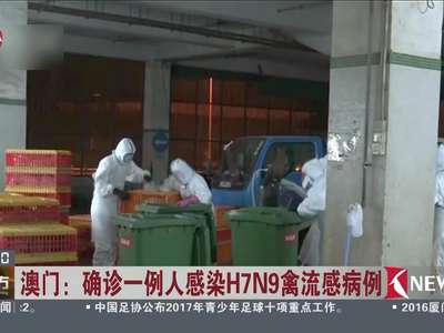 [视频]澳门：确诊一例人感染H7N9禽流感病例