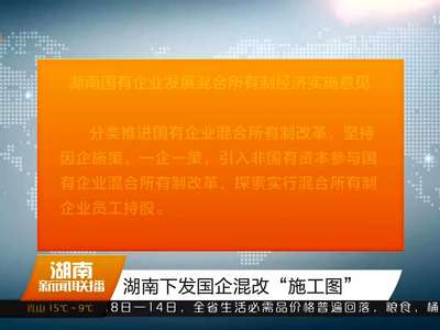 湖南下发国企混改“施工图”