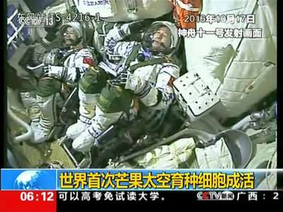 [视频]世界首次芒果太空育种细胞成活