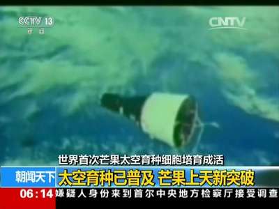 [视频]太空育种已普及 芒果上天新突破