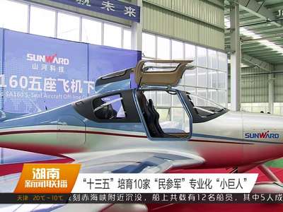 “十三五”培育10家“民参军”专业化“小巨人”