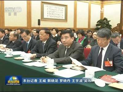 [视频]李克强参加广东代表团审议