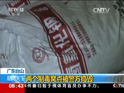 [视频]广东台山：两个制毒窝点被警方捣毁