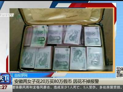 [视频]安徽两女子花20万买80万假币 因花不掉报警