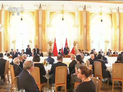 [视频]习近平出席波兰总统杜达举行的欢迎晚宴