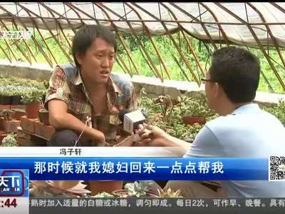 [视频]小夫妻卖婚房创业种“多肉”