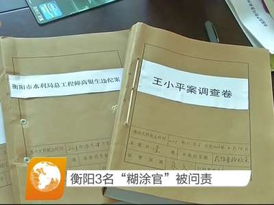 衡阳3名“糊涂官”被问责