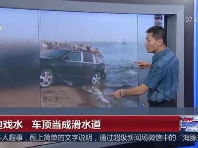 [视频]海边戏水 车顶当成滑水道