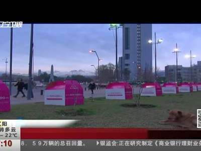 [视频]国际流浪狗日：爱心小纸屋爱意浓浓