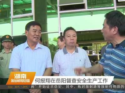 何报翔在岳阳督查安全生产工作