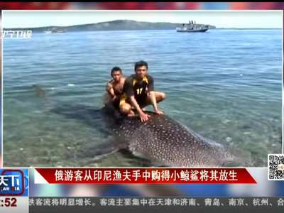 [视频]俄游客从印尼渔夫手中购得小鲸鲨将其放生