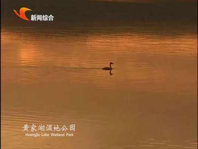 益阳：黄家湖湿地公园晋升“国家级”