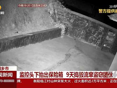 监控头下抬出保险箱 9天捣毁流窜盗窃团伙
