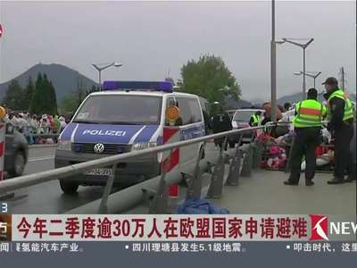 [视频]今年二季度逾30万人在欧盟国家申请避难