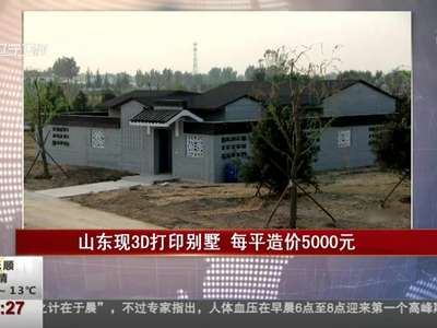 [视频]山东现3D打印别墅 每平造价5000元