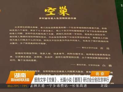 报告文学《空巢》、长篇小说《墨雨》研讨会分别在京举行