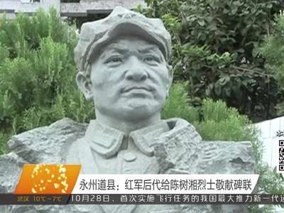 永州道县：红军后代给陈树湘烈士敬献碑联