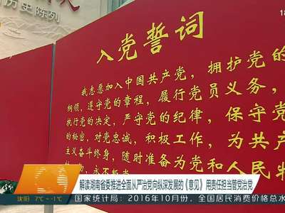 解读湖南省委推进全面从严治党向纵深发展的《意见》 用责任担当管党治党