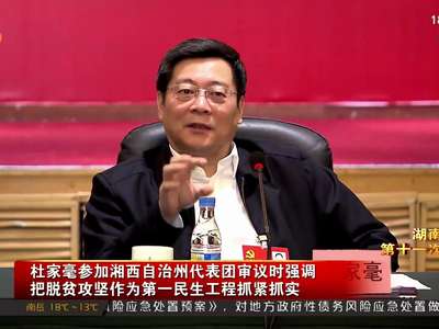 杜家毫参加湘西自治州代表团审议时强调把脱贫攻坚作为第一民生工程抓紧抓实