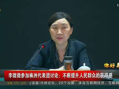 李微微参加株洲代表团讨论：不断提升人民群众的获得感