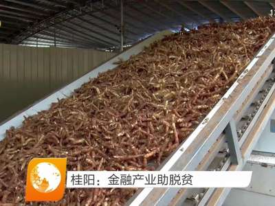 桂阳：金融产业助脱贫