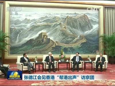 [视频]张德江会见香港“帮港出声”访京团