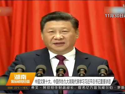 中国文联十大 中国作协九大湖南代表学习习近平总书记重要讲话