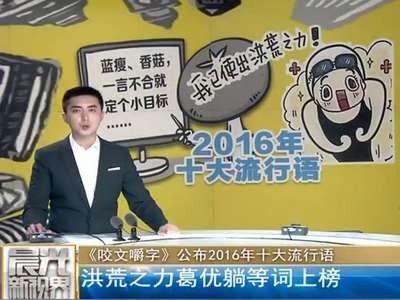 [视频]《咬文嚼字》公布2016年十大流行语：洪荒之力葛优躺等词上榜