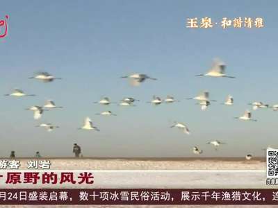 [视频]赏冰乐雪 创意无限