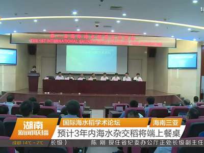 国际海水稻学术论坛 预计3年内海水杂交稻将端上餐桌