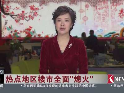 [视频]热点地区楼市全面“熄火”