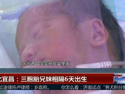 [视频]罕见！双卵三胞胎兄妹相隔6天出生 最轻仅1.12kg