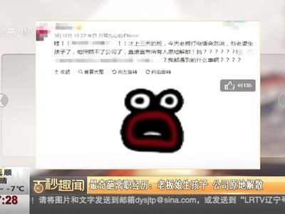 [视频]最奇葩离职经历：老板娘生孩子 公司原地解散
