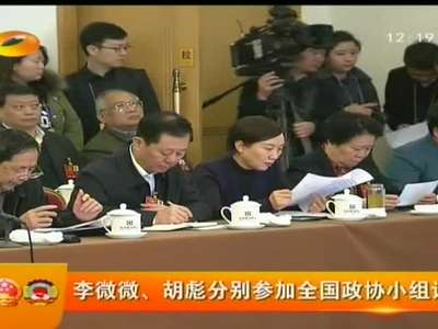李微微、胡彪分别参加全国政协小组讨论